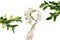 Cream Floral Polyester Crepe Georgette Woven Bias Tape 1.25 inches width x 16 yards